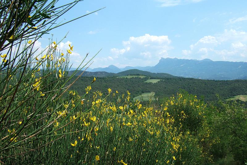 2011-05- (1436).JPG